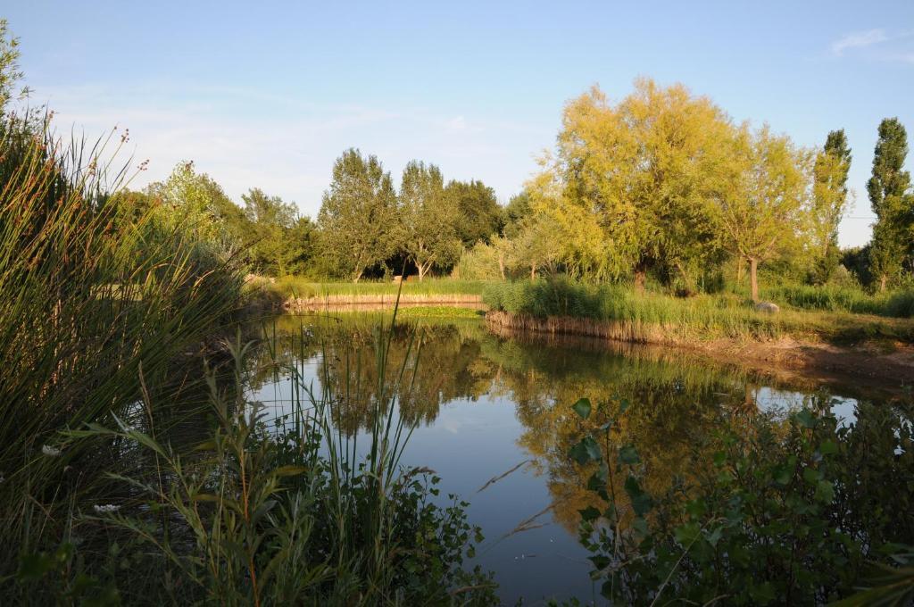 Отель Domaine De La Begude Фаянс Номер фото